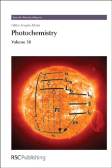 Photochemistry : Volume 38