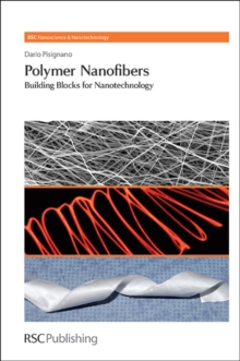 Polymer Nanofibers : Building Blocks for Nanotechnology