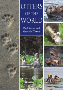 Otters of the World, Paperback / softback Book Otters of the World, Paperback / softback Book