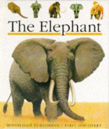 The Elephant, Hardback Book The Elephant, Hardback Book
