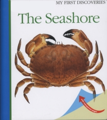 The Seashore, Spiral bound Book The Seashore, Spiral bound Book