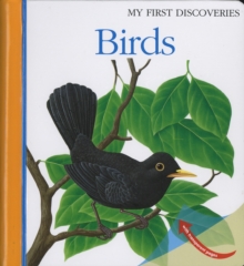 Birds, Spiral bound Book Birds, Spiral bound Book