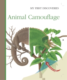 Animal Camouflage, Hardback Book Animal Camouflage, Hardback Book