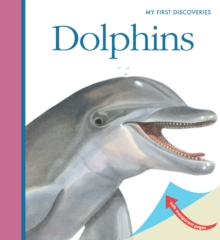 Dolphins