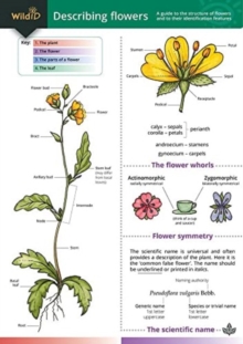 Describing Flowers