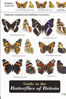 Guide to the Butterflies of Britain, Sheet map, folded Book Guide to the Butterflies of Britain, Sheet map, folded Book