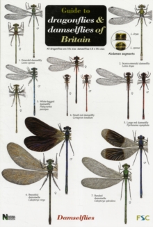 Guide to the Dragonflies and Damselflies of Britain, Sheet map, folded Book Guide to the Dragonflies and Damselflies of Britain, Sheet map, folded Book