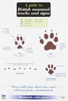 A Guide to British Mammal Tracks and Signs, Paperback / softback Book A Guide to British Mammal Tracks and Signs, Paperback / softback Book