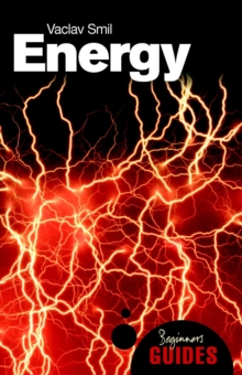Energy : A Beginners Guide, Paperback Book Energy : A Beginners Guide, Paperback Book
