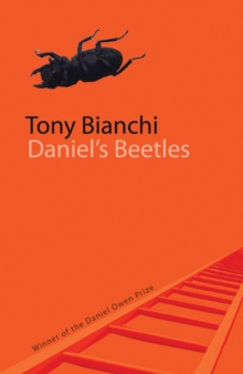 Daniel's Beetles, Paperback / softback Book Daniel's Beetles, Paperback / softback Book