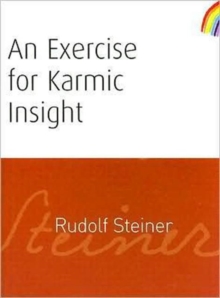 An Exercise for Karmic Insight