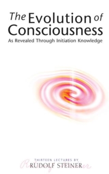 The Evolution of Consciousness