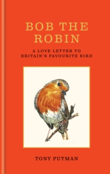 Bob the Robin : A love letter to Britains favourite bird