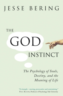 The God Instinct : The Psychology of Souls, Destiny and the Meaning of Life