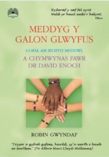 Meddyg y Galon Glwyfus - Gofal am Iechyd Meddwl a Chymwynas Fawr Dr David Enoch : Gofal am Iechyd Meddwl a Chymwynas Fawr Dr David Enoch