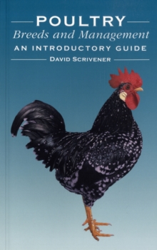 Poultry Breeds and Management : An Introductory Guide, Paperback Book Poultry Breeds and Management : An Introductory Guide, Paperback Book