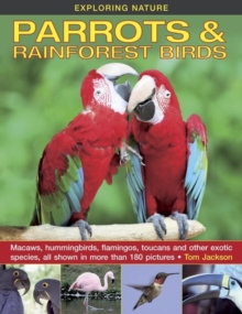 Exploring Nature: Parrots & Rainforest Birds, Hardback Book Exploring Nature: Parrots & Rainforest Birds, Hardback Book