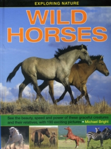 Exploring Nature: Wild Horses