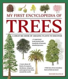 My First Encyclopedia Of Trees (giant Size)