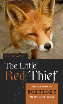 Little Red Thief: The True Story of Foxyloxy - An Orphaned Fox Cub