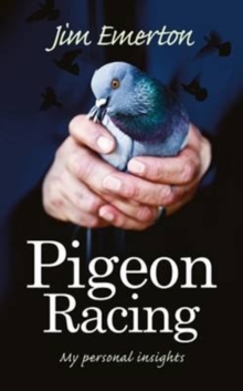 Pigeon Racing : My Personal Insights