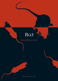 Rat, Paperback Book Rat, Paperback Book