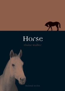 Horse, Paperback Book Horse, Paperback Book