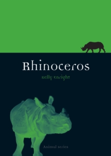 Rhinoceros