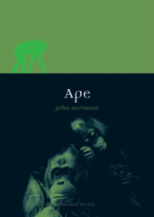 Ape