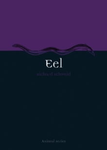 Eel