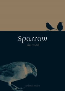 Sparrow