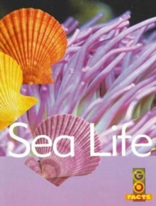 Sea Life, Paperback / softback Book Sea Life, Paperback / softback Book
