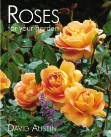 The Rose, Hardback Book The Rose, Hardback Book