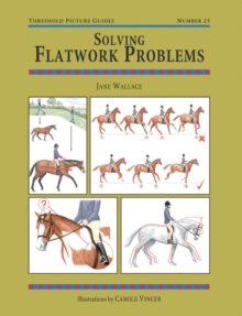 Solving Flatwork Problems, Paperback Book Solving Flatwork Problems, Paperback Book