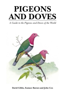 Pigeons and Doves : A Guide to the Pigeons and Doves of the World, Hardback Book Pigeons and Doves : A Guide to the Pigeons and Doves of the World, Hardback Book