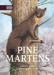 Pine Martens, Hardback Book Pine Martens, Hardback Book