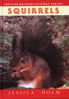 Squirrels, Hardback Book Squirrels, Hardback Book
