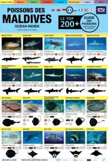 Maldives Guide Des Poissons : Le Top 200+ (French)