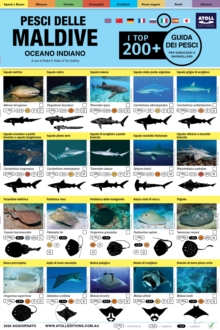 Maldive Guida Dei Pesci : I Top 200+ (Italian)