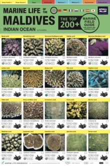 Maldives Marine Life Field Guide : "Top 200+"