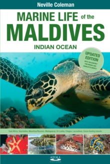 Marine Life of the Maldives - Indian Ocean