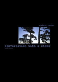 Conversation with a Stone