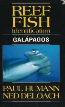 Reef Fish Identification : Galapagos