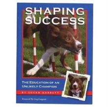 Shaping Success