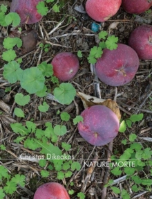 Christos Dikeakos : Nature Morte, Paperback Book Christos Dikeakos : Nature Morte, Paperback Book