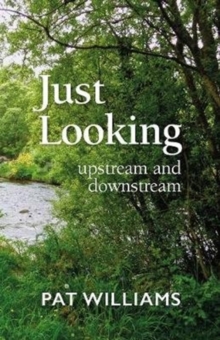 Just Looking : upstream and downstream