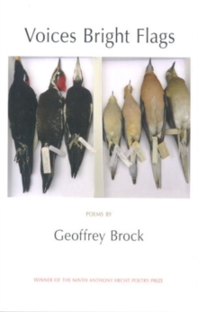 Voices Bright Flags : Poems, Paperback / softback Book Voices Bright Flags : Poems, Paperback / softback Book