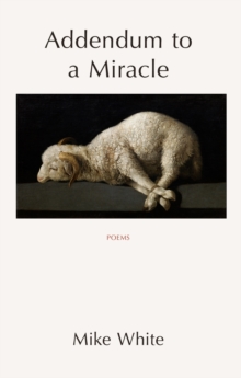 Addendum to a Miracle, Paperback / softback Book Addendum to a Miracle, Paperback / softback Book