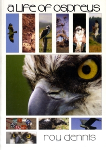 A Life of Ospreys, Paperback Book A Life of Ospreys, Paperback Book