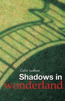 Shadows in Wonderland : A Hospital Odyssey, Paperback Book Shadows in Wonderland : A Hospital Odyssey, Paperback Book